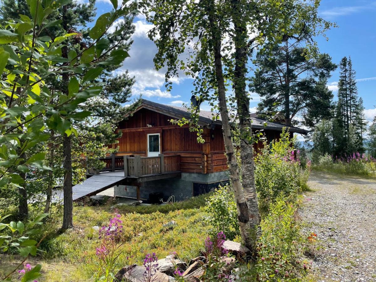 Masaplassen Friisvegen Mountain Lodge Ringebu Exterior foto