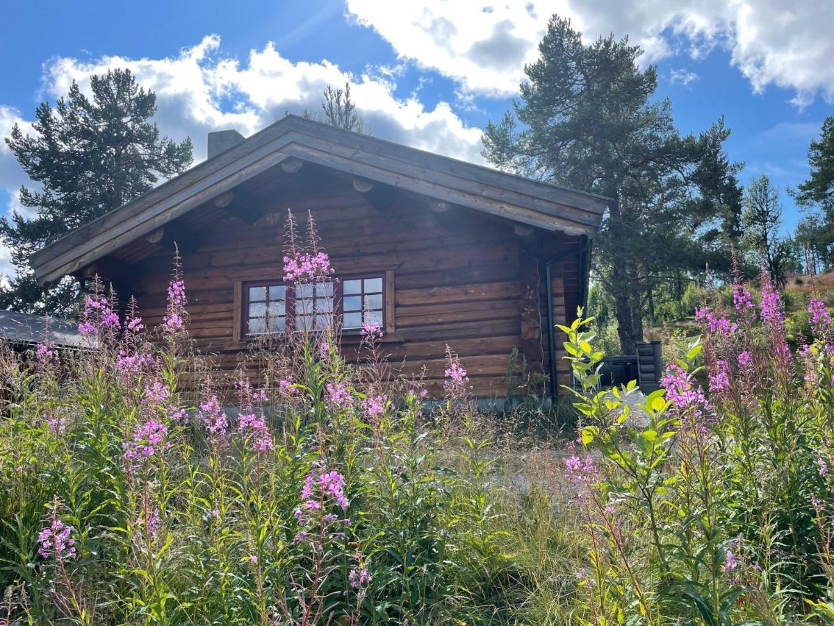 Masaplassen Friisvegen Mountain Lodge Ringebu Exterior foto