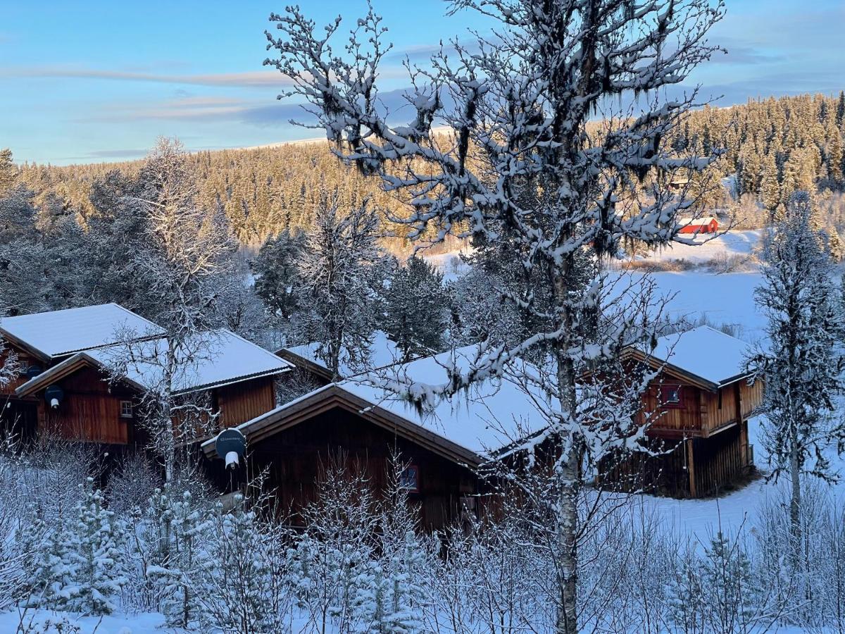 Masaplassen Friisvegen Mountain Lodge Ringebu Exterior foto