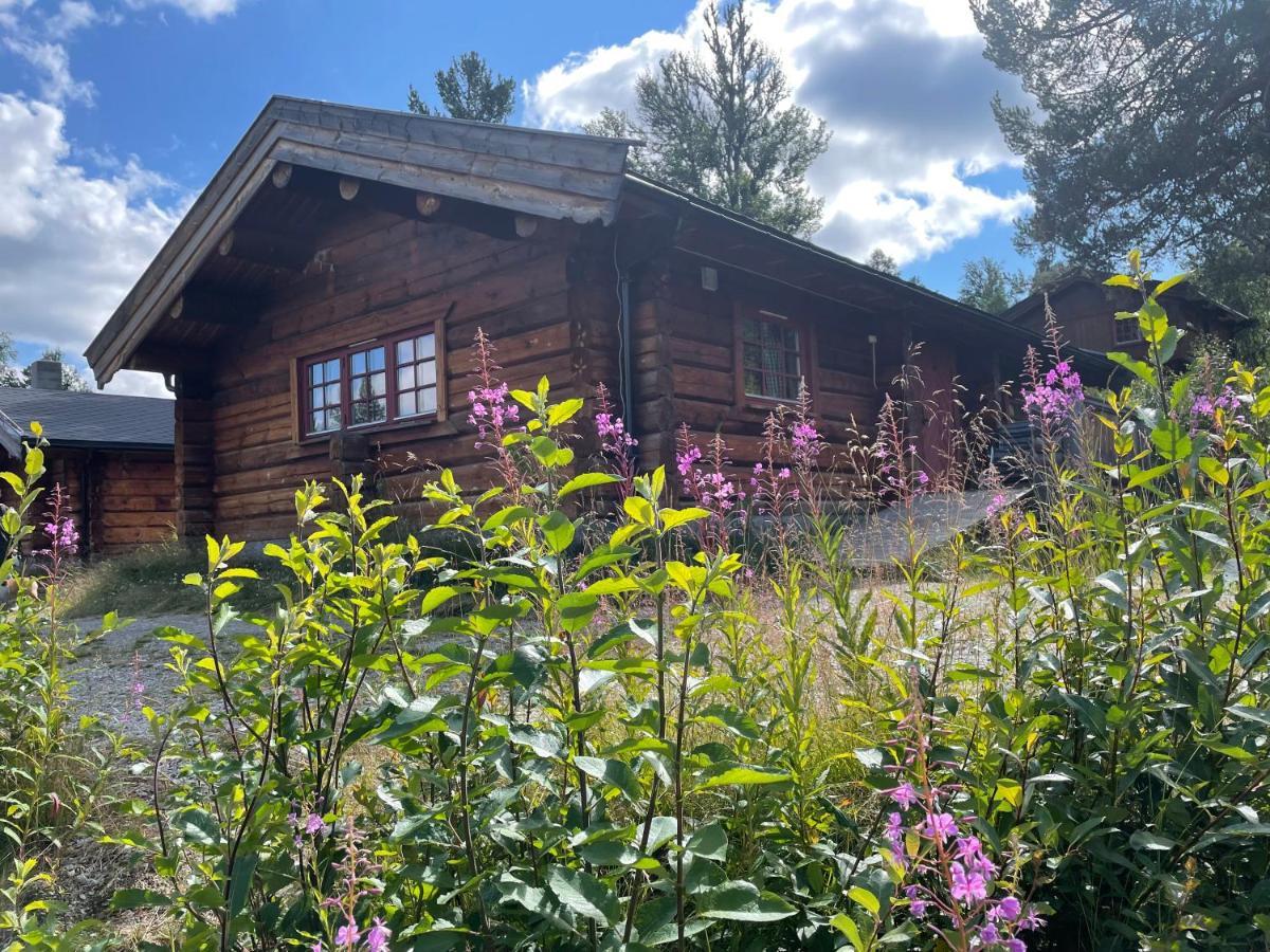 Masaplassen Friisvegen Mountain Lodge Ringebu Exterior foto