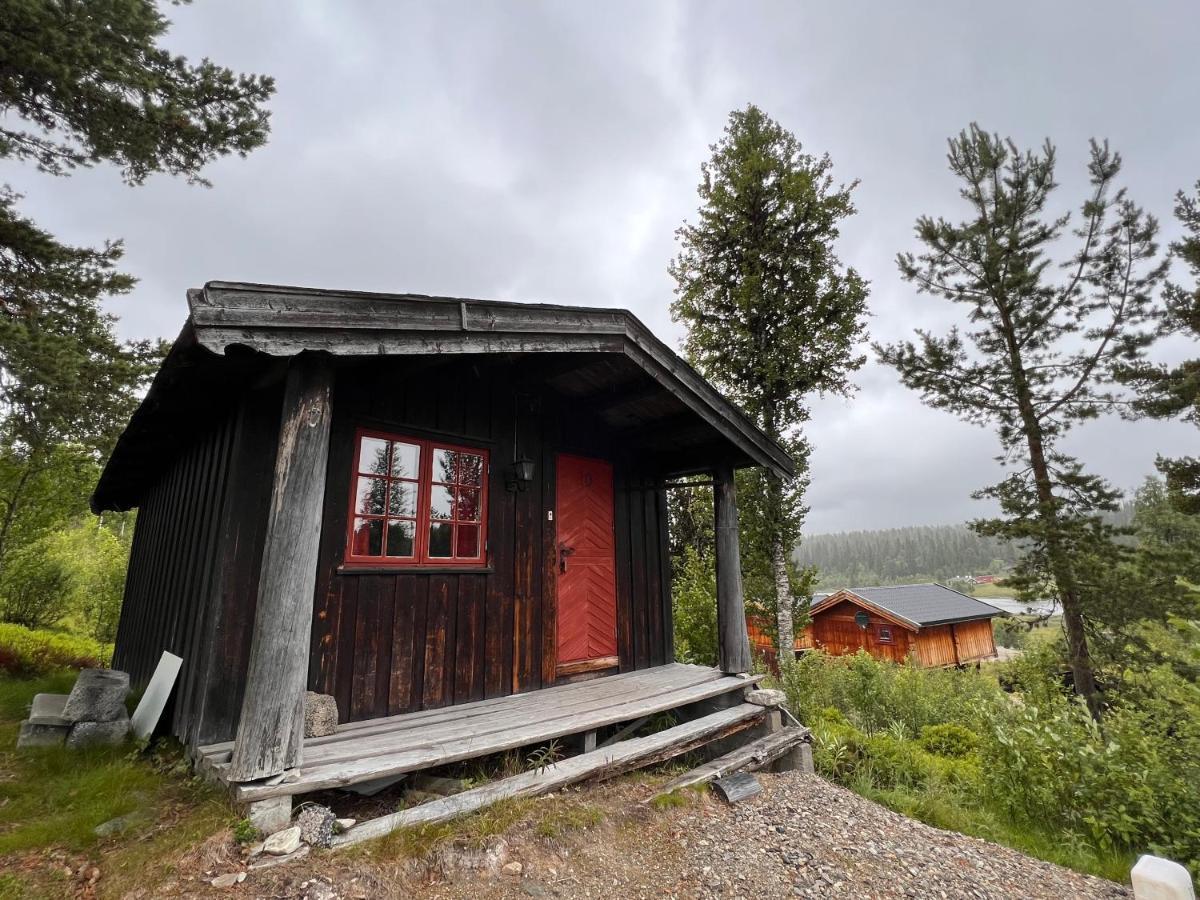 Masaplassen Friisvegen Mountain Lodge Ringebu Exterior foto