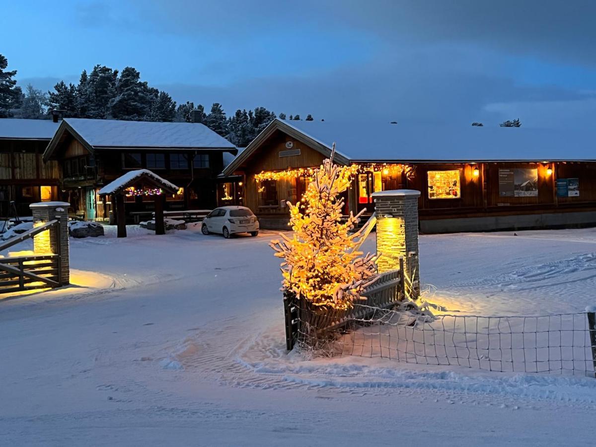 Masaplassen Friisvegen Mountain Lodge Ringebu Exterior foto