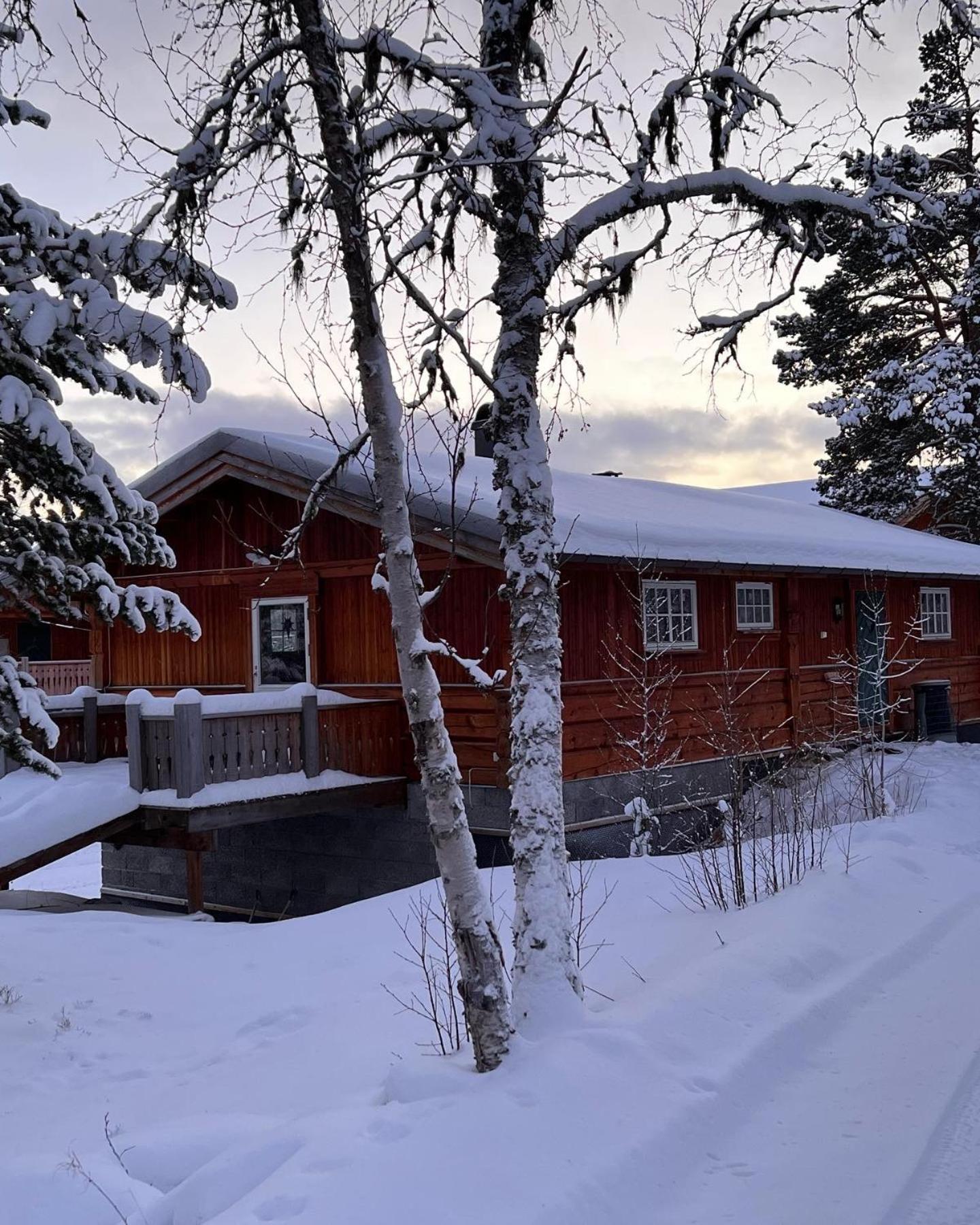 Masaplassen Friisvegen Mountain Lodge Ringebu Exterior foto