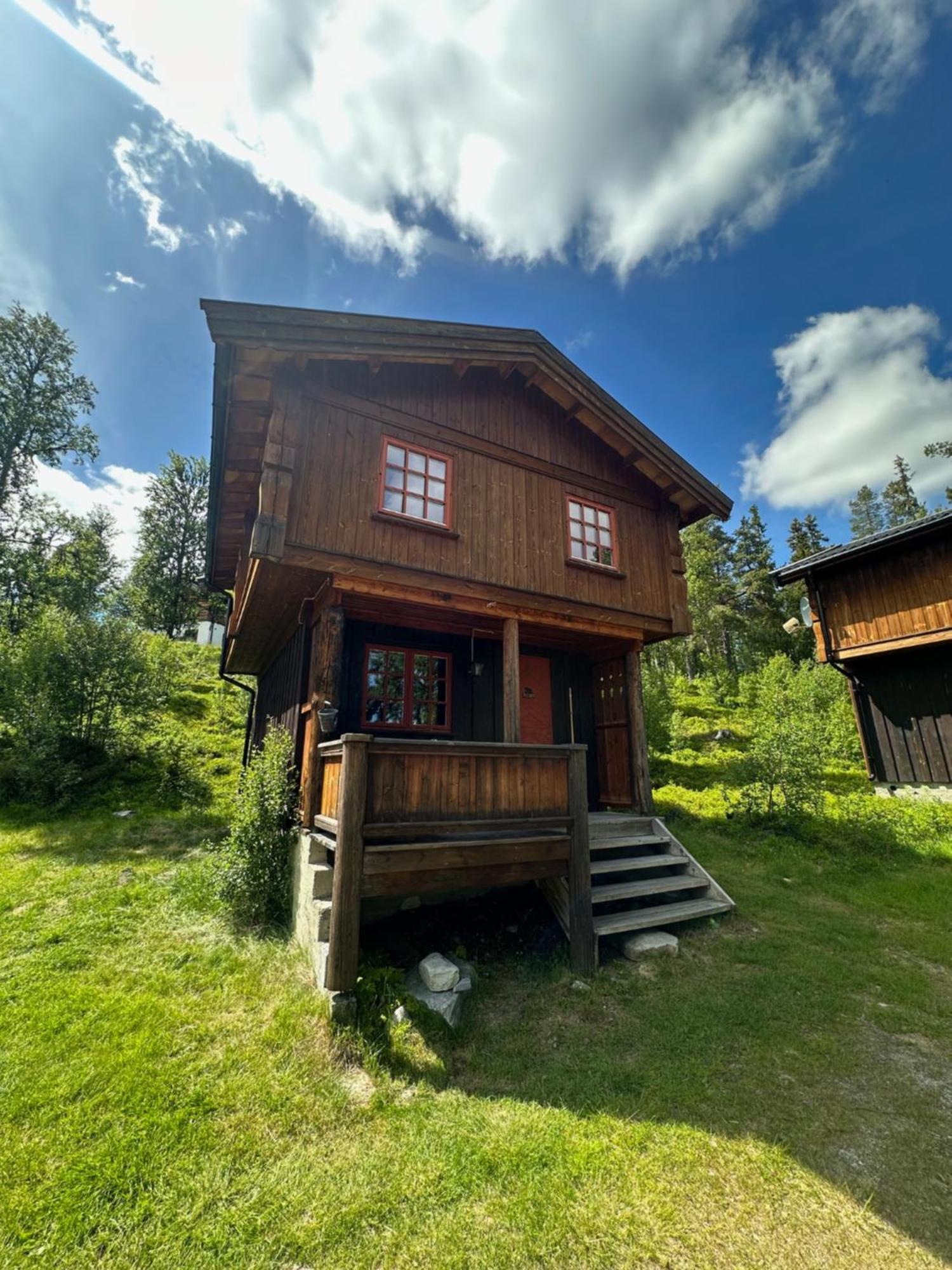 Masaplassen Friisvegen Mountain Lodge Ringebu Exterior foto