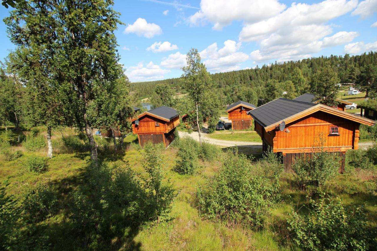 Masaplassen Friisvegen Mountain Lodge Ringebu Exterior foto