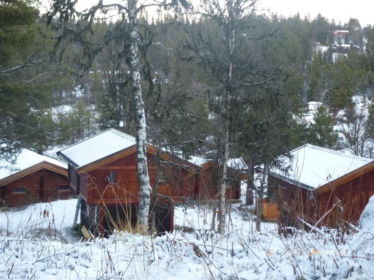 Masaplassen Friisvegen Mountain Lodge Ringebu Exterior foto