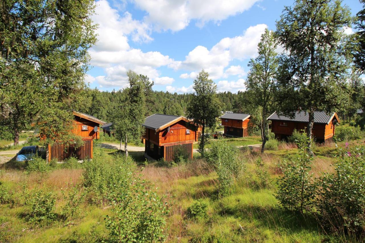 Masaplassen Friisvegen Mountain Lodge Ringebu Exterior foto