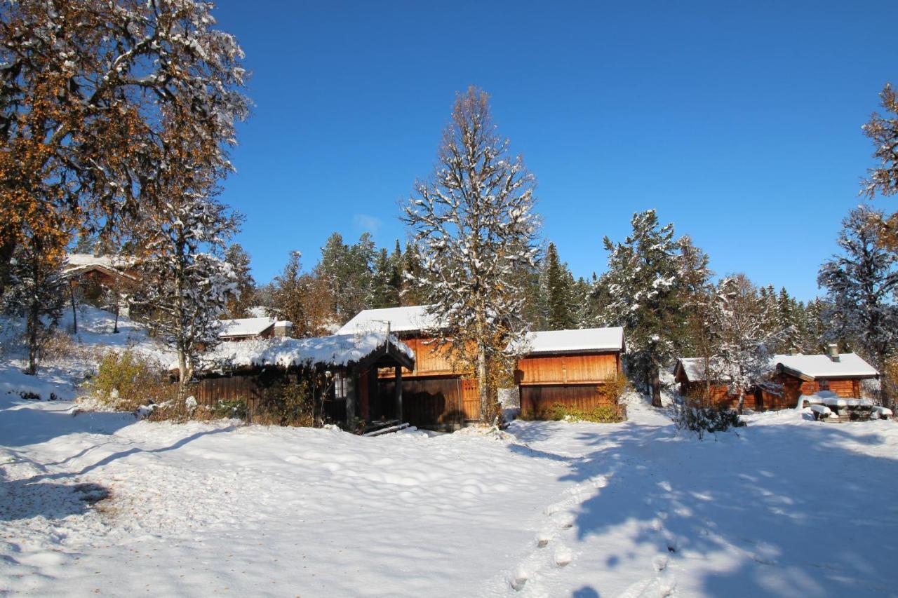 Masaplassen Friisvegen Mountain Lodge Ringebu Exterior foto