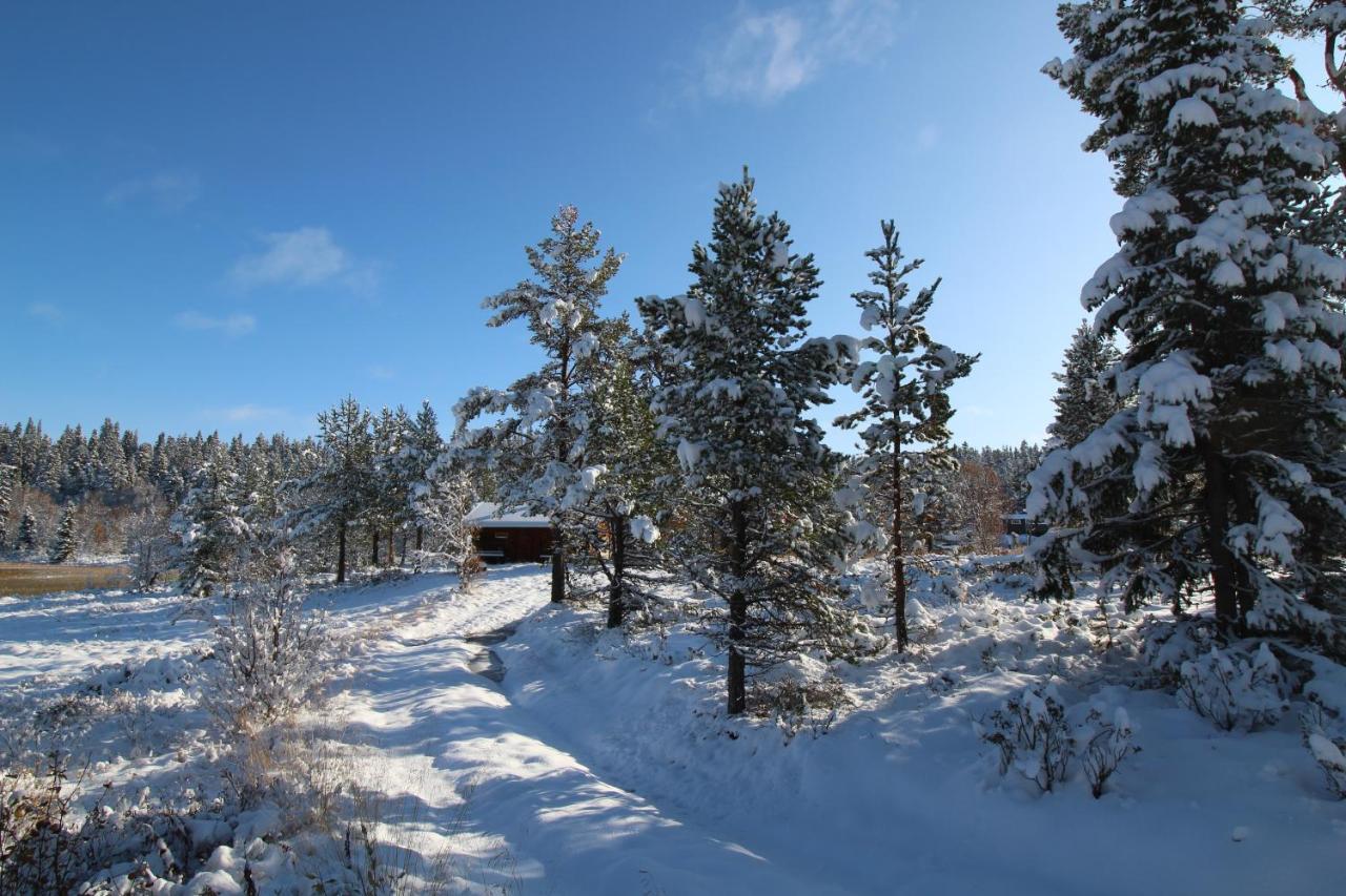 Masaplassen Friisvegen Mountain Lodge Ringebu Exterior foto